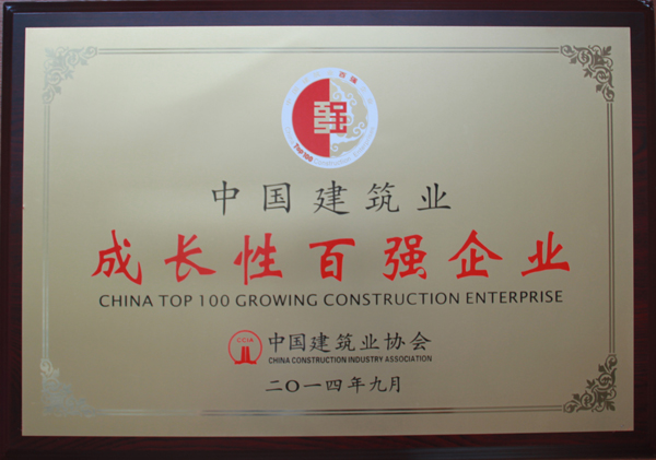 2013年度中国建筑业成长性百强企业（牌匾）